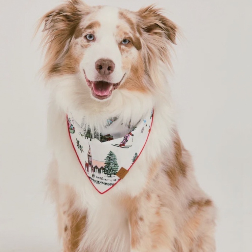 Katie Kime Winter Toile Dog Bandana Pet L/XL White Red Holiday Skiing Scarf